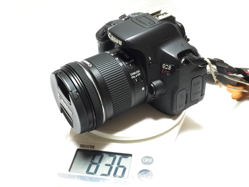 超広角レンズ「EF-S10-18mm F4.5-5.6 IS STM」購入＆開封の儀 〜超広角